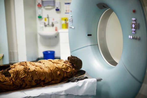 Vocal Tract Organ of Mummy from 3D Printing