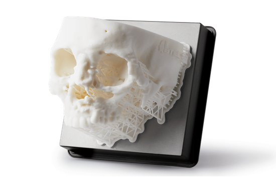 Medical Skull research 3D Print Sample